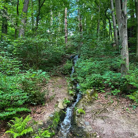 Apartmán Tilda Lichtenwalde