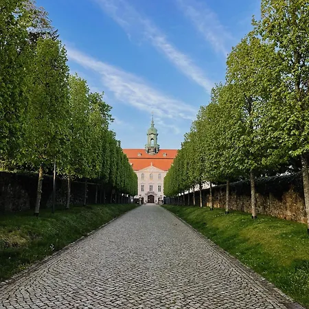 Tilda * Lichtenwalde