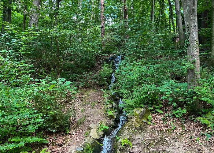 Lägenhet Tilda Lichtenwalde